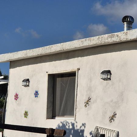 Villa Elvira Country House Belvedere Marittimo Exterior foto